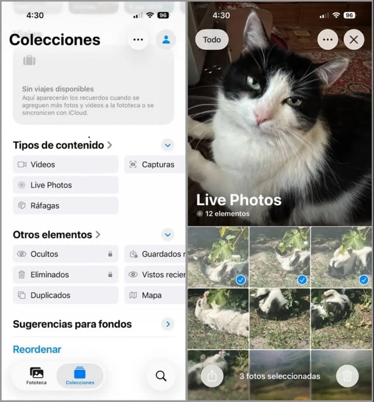 Las 'live photos' ocupan mayor espacio y nunca está de más revisar la carpeta de 'Eliminados'.