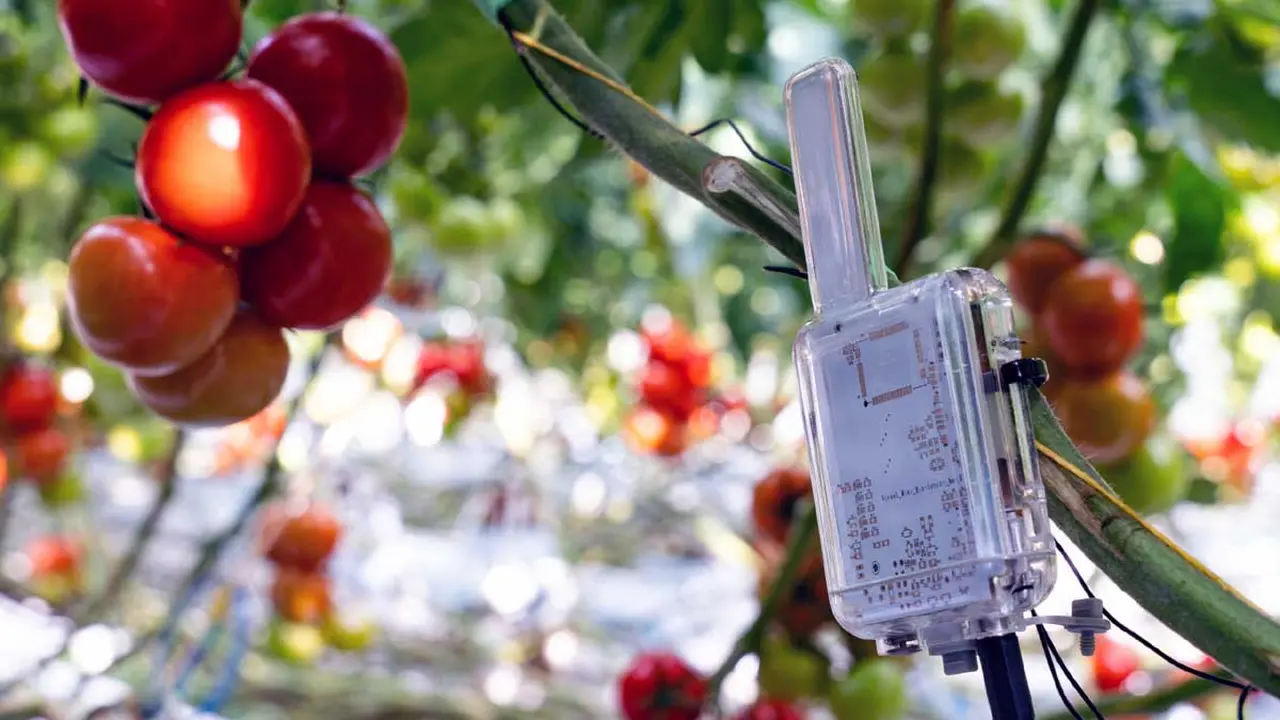 Biosensor Vita en área productiva. Foto suministrada por Vivent Biosignals.