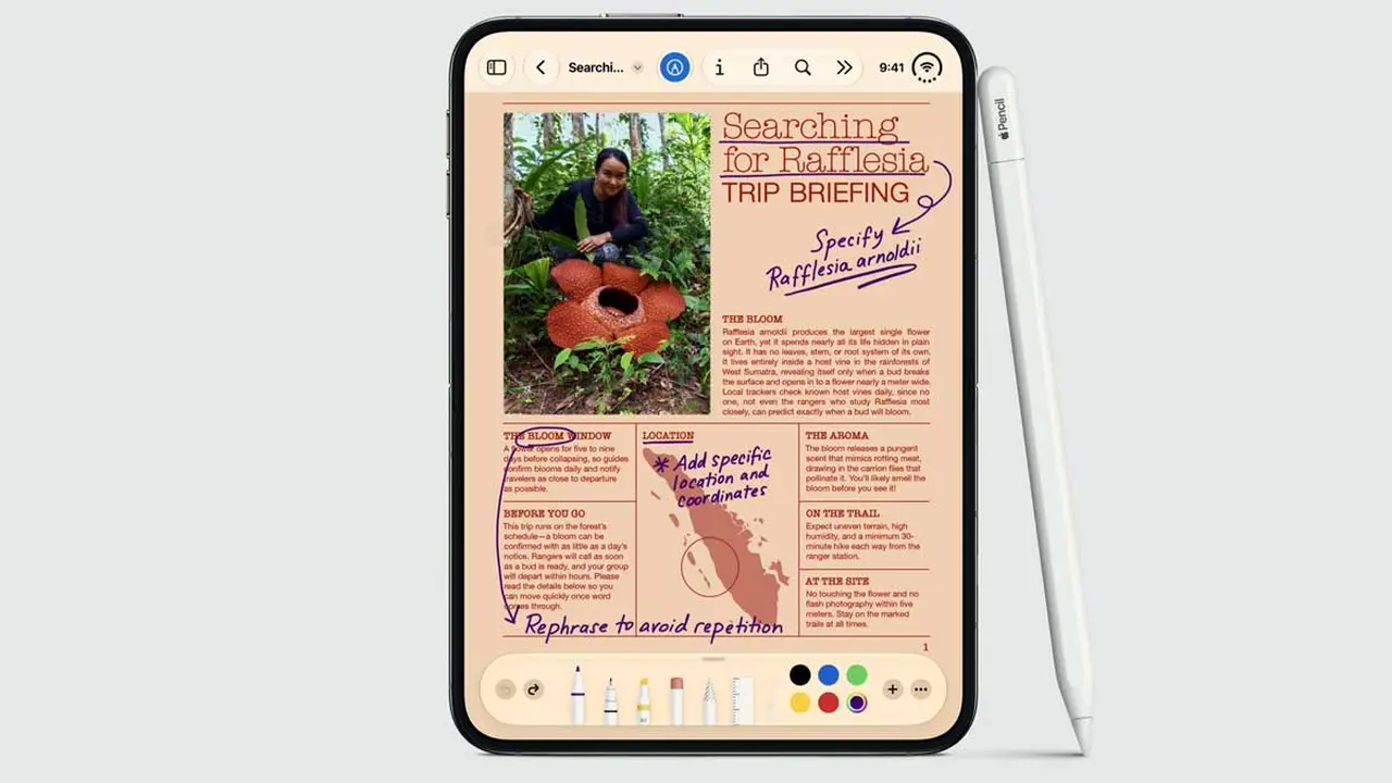 iPhone Duo con