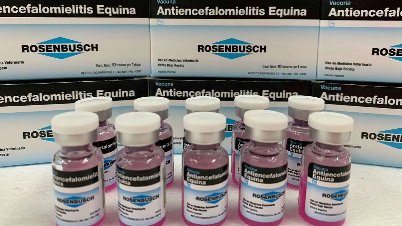 Imagen de frascos y cajas del laboratorio Rosembusch