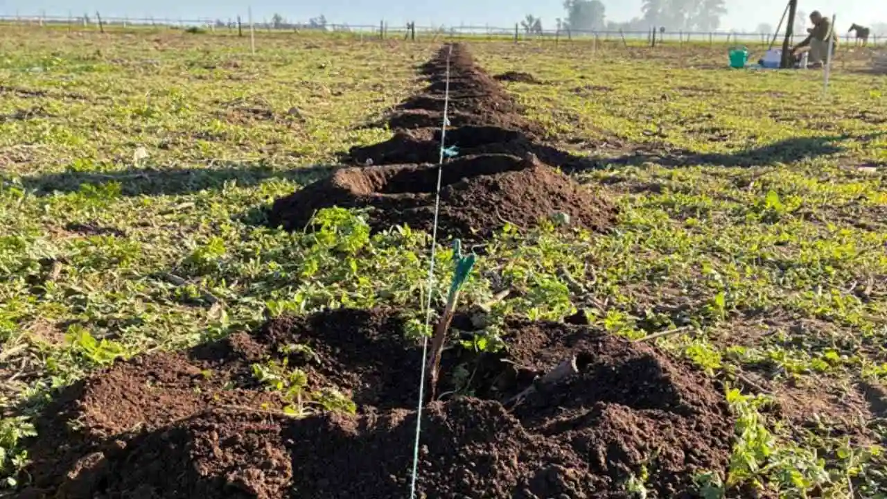 Sergio Balbi apostó por el vino, en donde todos se dedicaban al negocio de la soja.
