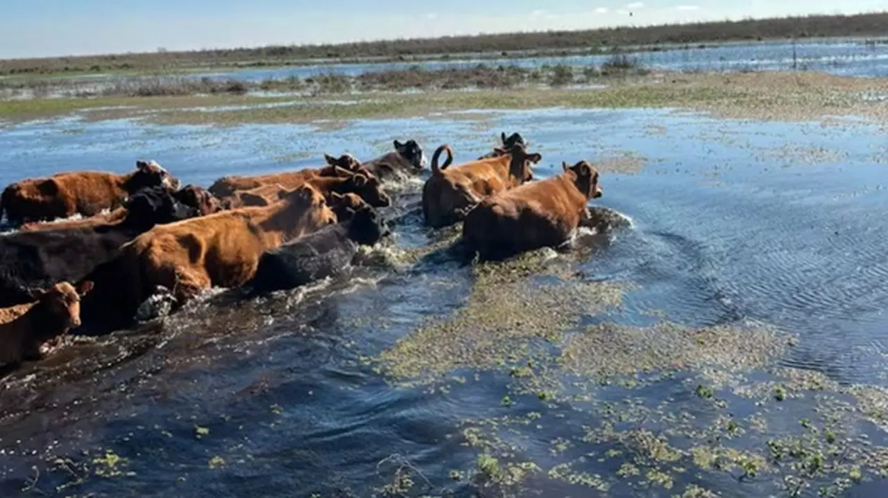 El Niño podría ser histórico en 2026 y amenaza con inundaciones a las zonas productivas