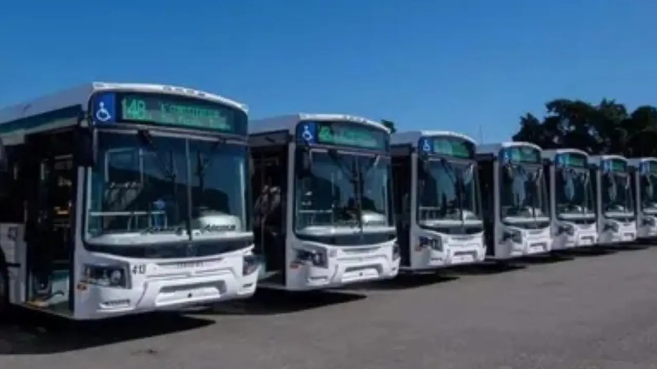 Histórica línea de colectivos vuelve a funcionar con nuevo dueño y renovado diseño