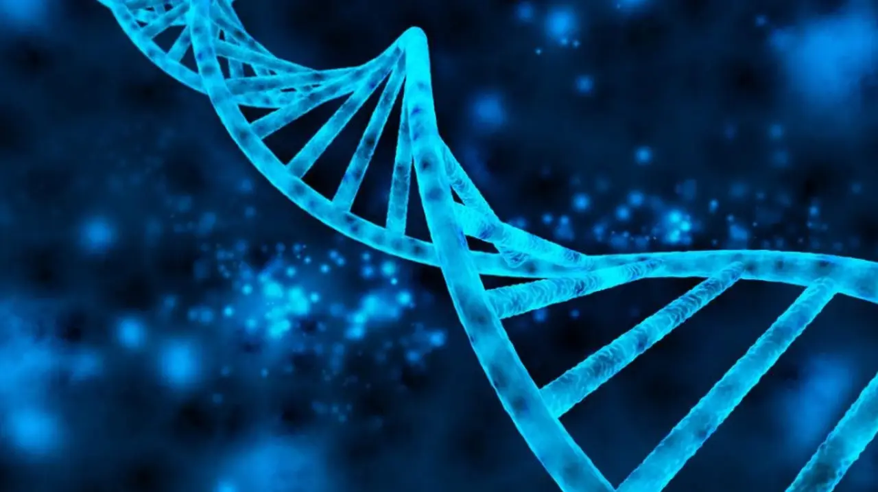 Los inhibidores trabajarían sobre ciertos genes del cáncer 