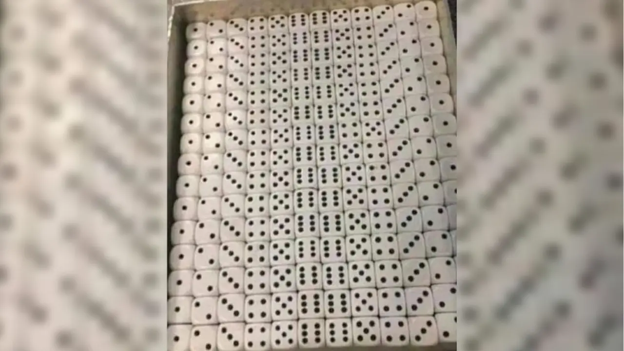 Reto visual: ¿podés encontrar el error entre las decenas de dados?
