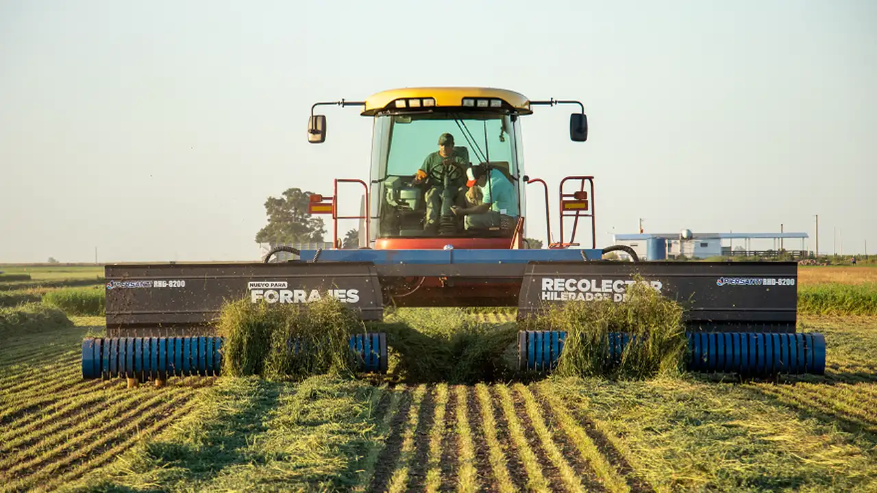 La restricción al dólar podría complicar la campaña del agronegocio.