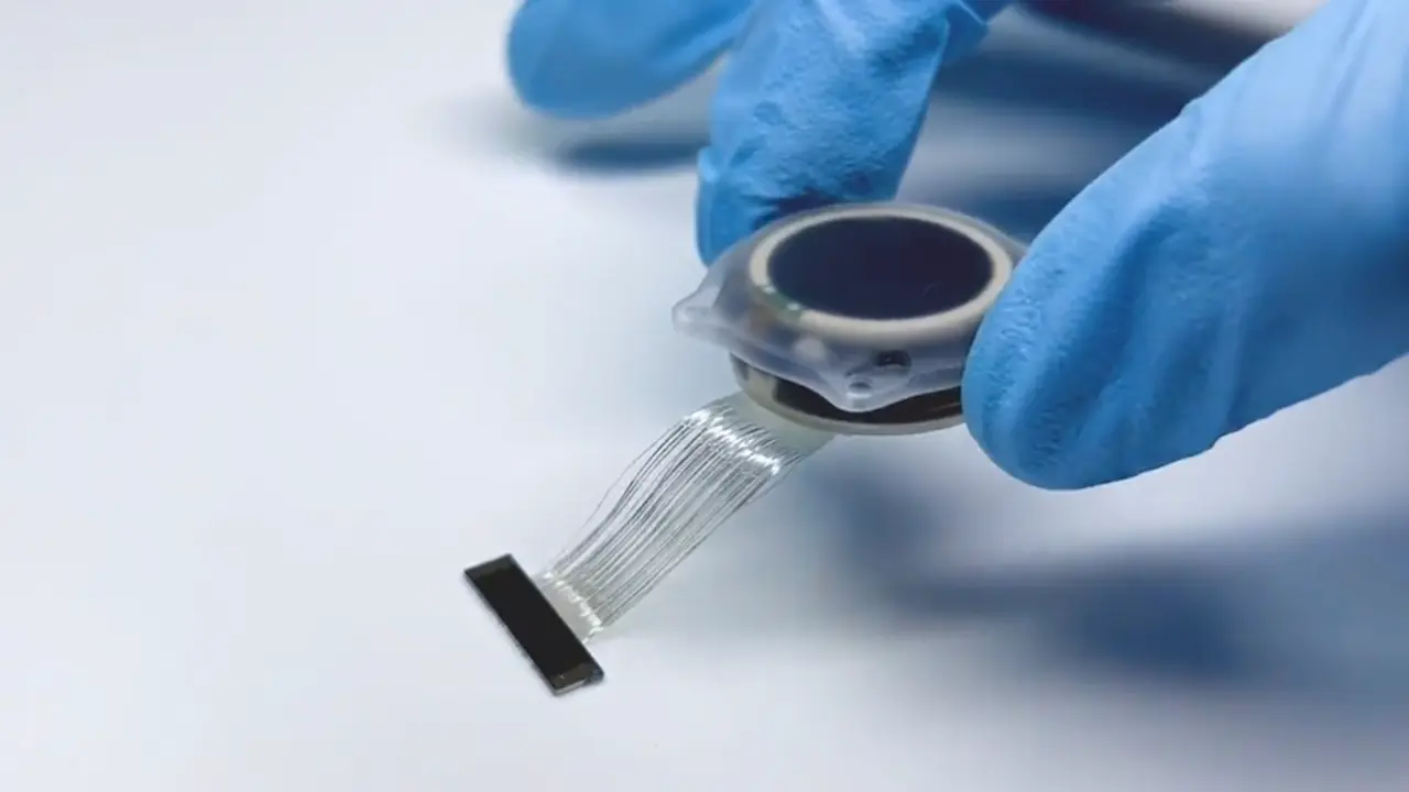El chip cerebral implantado a un humano está compuesto por 64 hilos más finos que un cabello