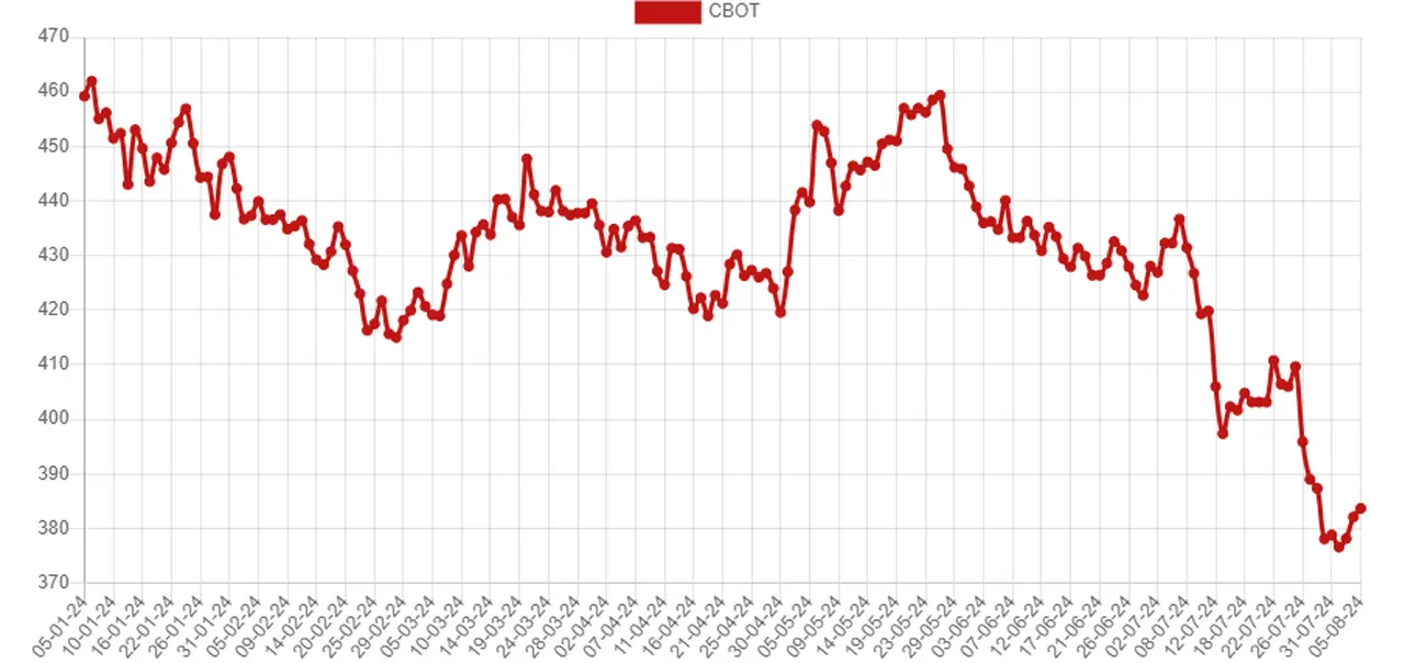 El gráfico de Agrofy muestra la evolución del precio de la soja en el mercado de Chicago durante 2024