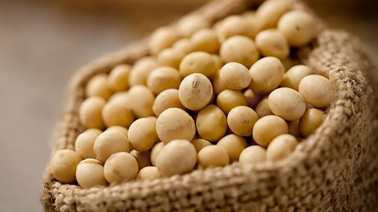 Biotecnológica argentina se une a China para potenciar cultivo de soja