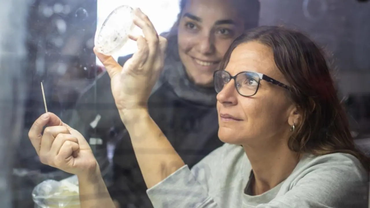 Es argentina y descubrió la clave contra el calentamiento global: busca revolucionar un mercado de u$s9.000 millones