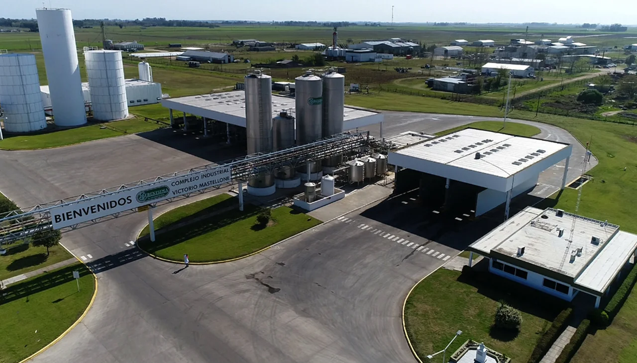 Cuál es la actualidad Mastellone, la empresa láctea que quieren comprar Arcor y Danone
