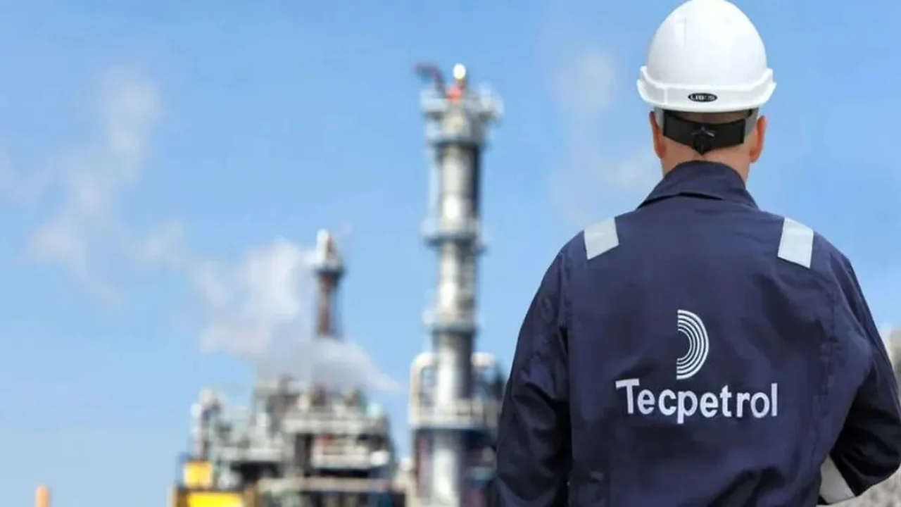 petroleo, vaca muerta, tecpetrol