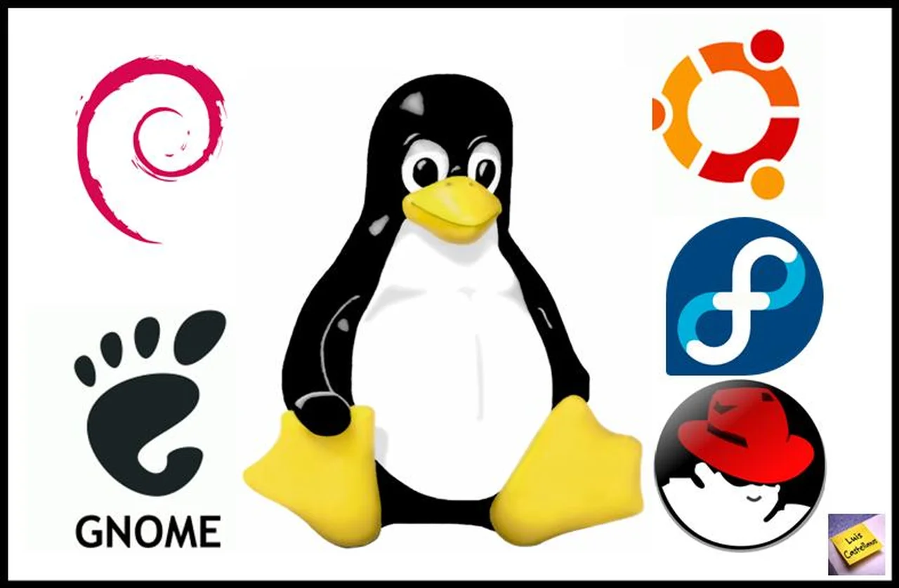 El Ministerio de Ciencia crea clúster para empresas de software libre