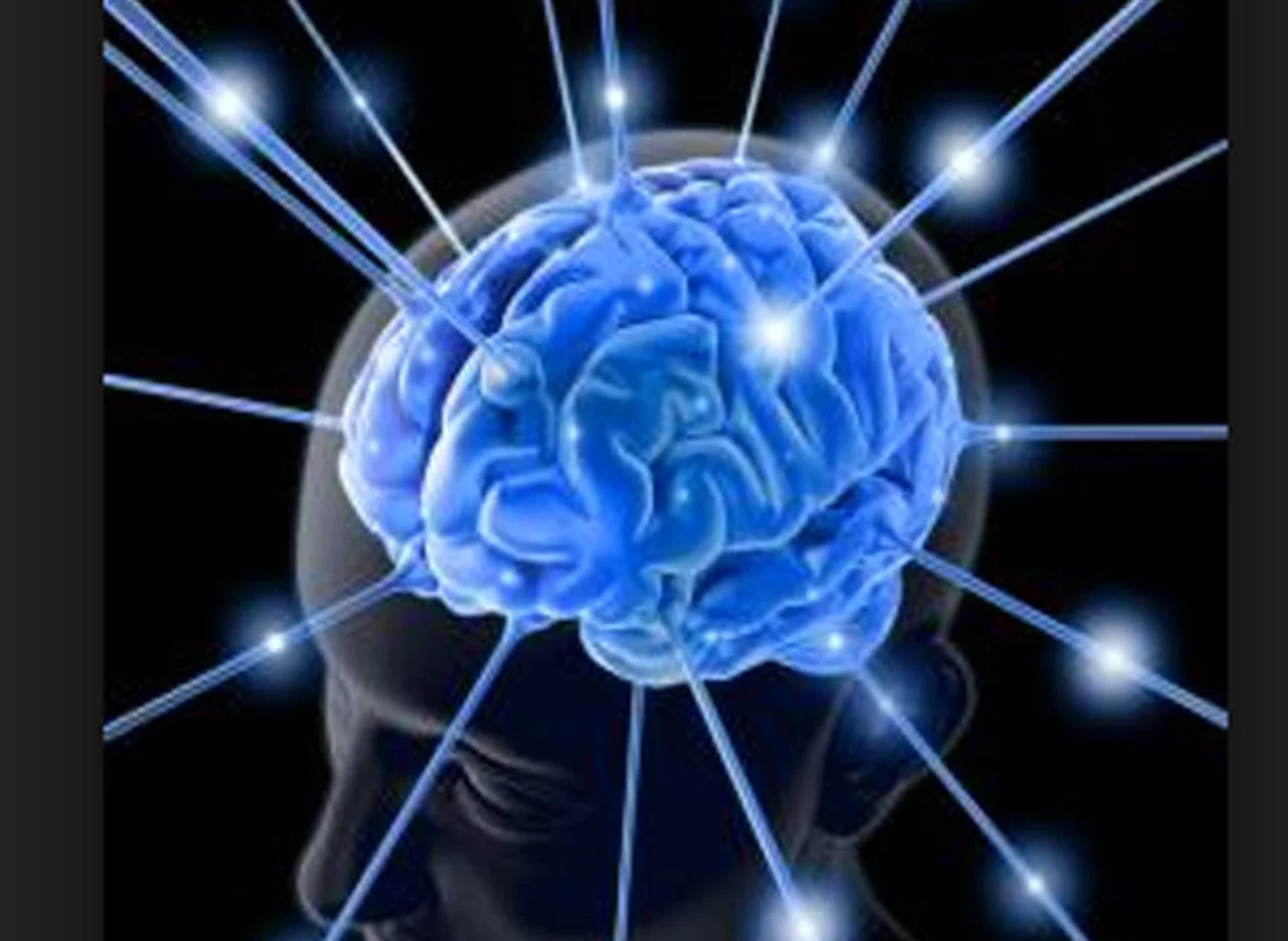 "Mentes brillantes": éstas son las diez personas más inteligentes del mundo