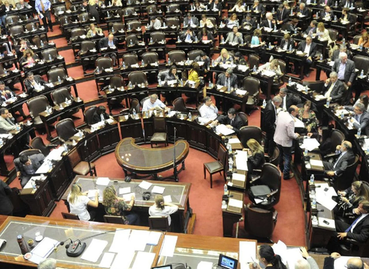 Canje de pasajes: casi 100 diputados podrí­an perder el beneficio