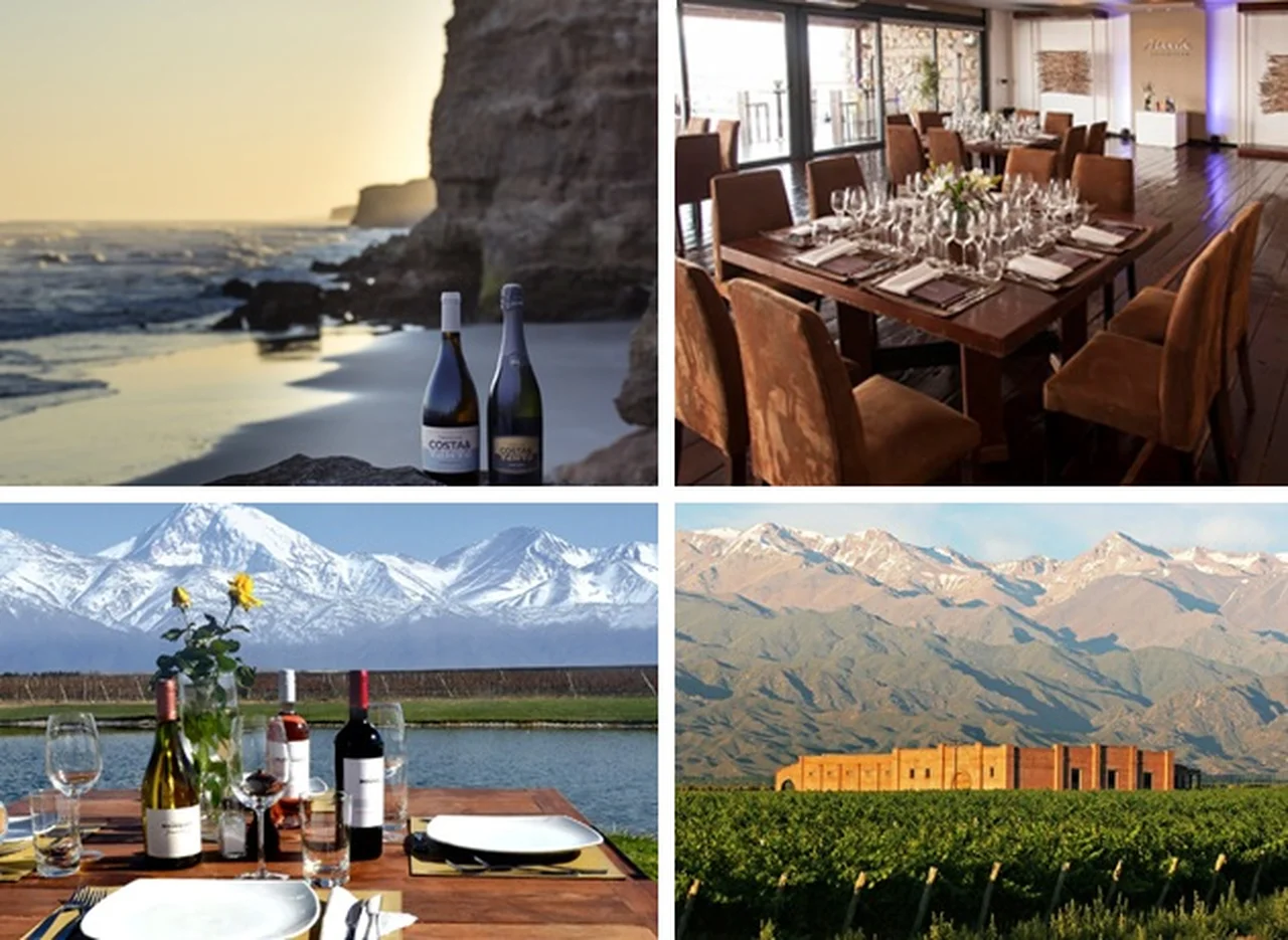 Fin de semana largo: bodegas imperdibles para visitar en Mendoza, Salta, Buenos Aires y Entre Rí­os 