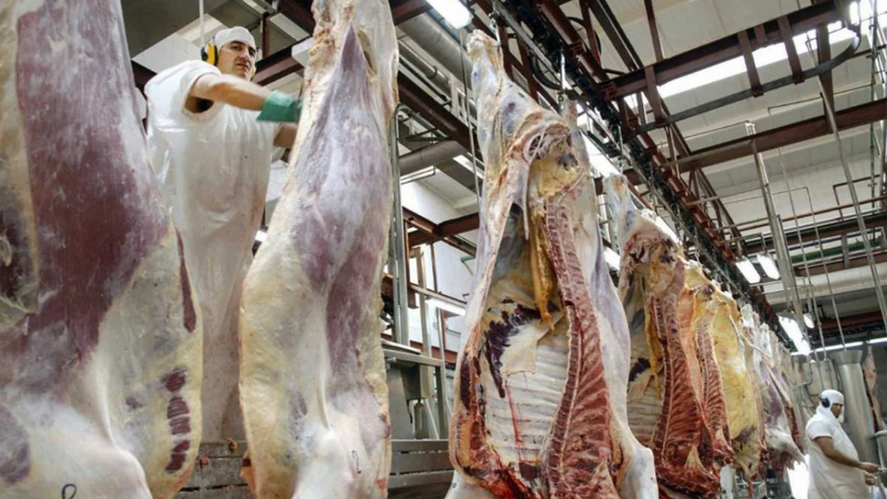 Frigoríficos piden al Gobierno suspender un cambio histórico para la carne y evalúan recurrir a la Justicia