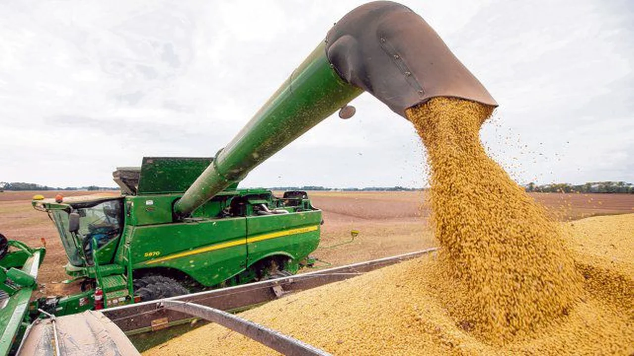 Unifican registros de plantas agroindustriales para el sector granario