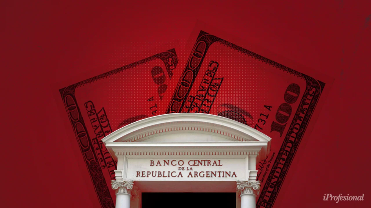 Alerta en el mercado: en la primera quincena, el BCRA ya vendió casi el doble de dólares que en todo octubre