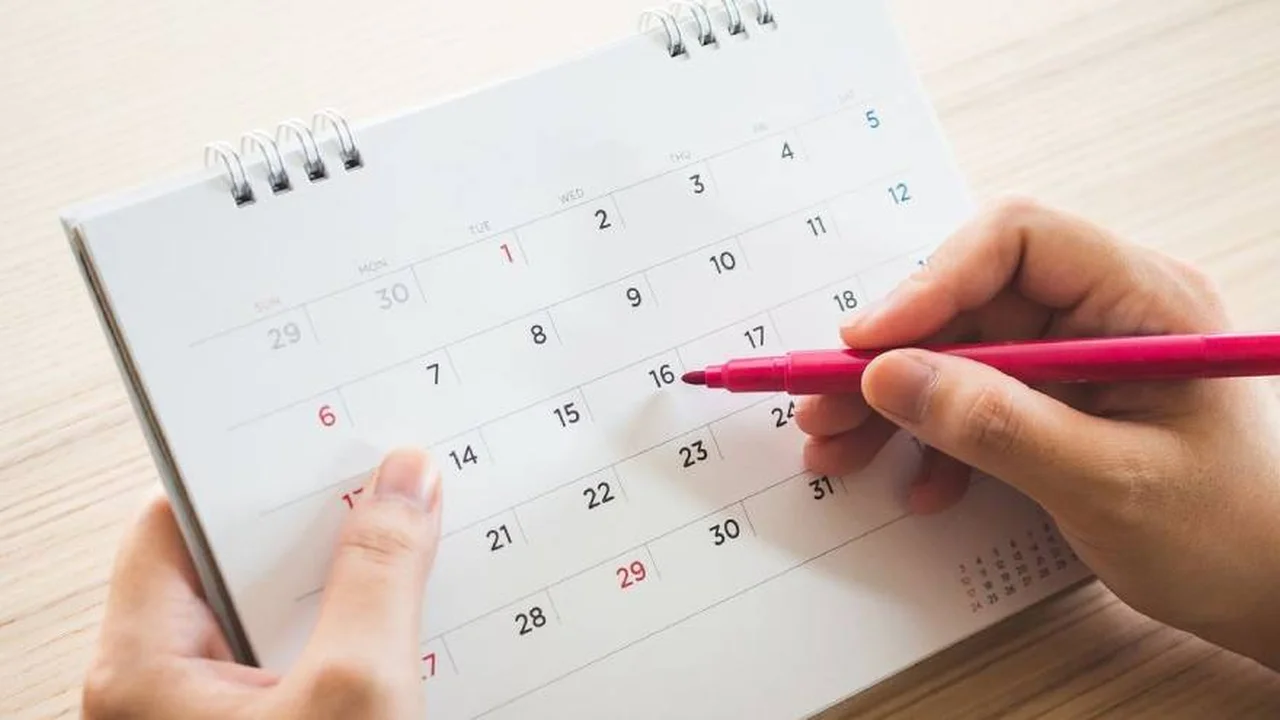 ¿Cuándo caen los feriados de febrero y cuál es el fin de semana extra largo?