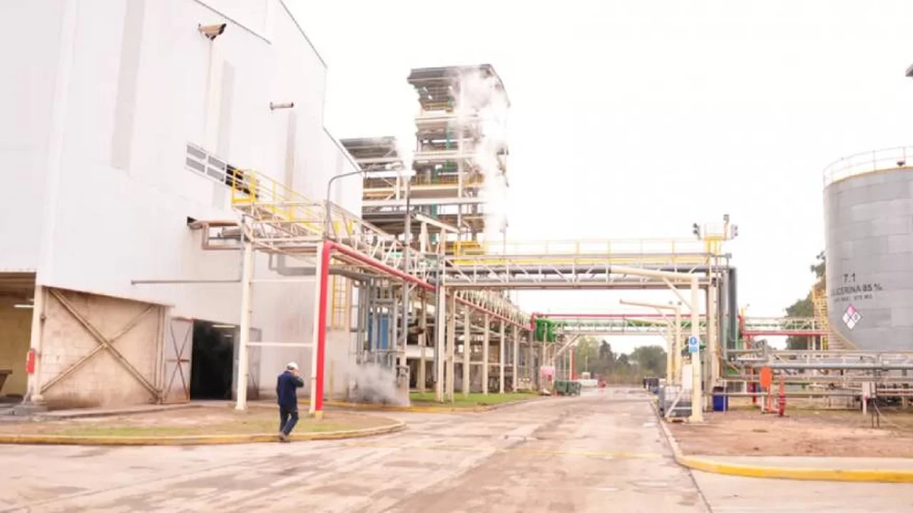 Molinos Agro