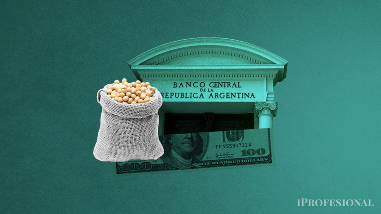 Se desaceleran las compras del Banco Central:  ¿alcanzará el nuevo "dólar soja" para recomponer las reservas?