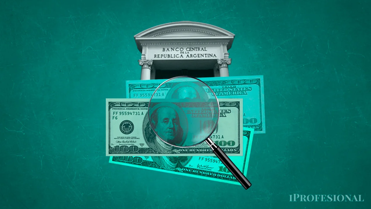 El BCRA compra menos divisas y ralentiza la devaluación: ¿qué pasará con el dólar en enero?