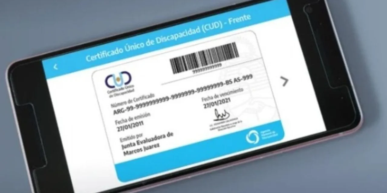 Atención: el Gobierno estableció cambios en el Certificado Único de Discapacidad