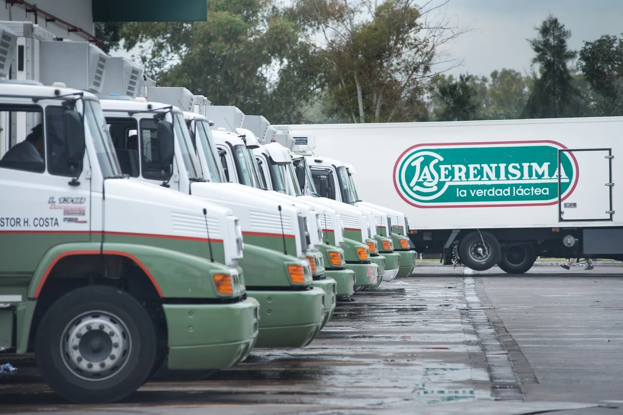 danone la serenisima