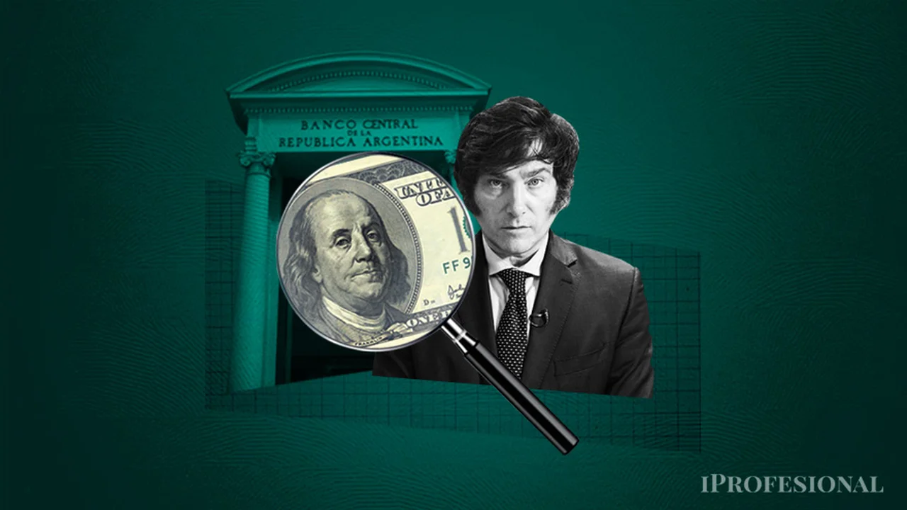 El BCRA logró la compra de dólares más alta en un mes: ¿qué expectativas hay para la segunda quincena de febrero?