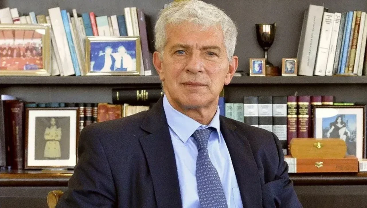 Cúneo Libarona explicó por qué quiere la toga para los jueces