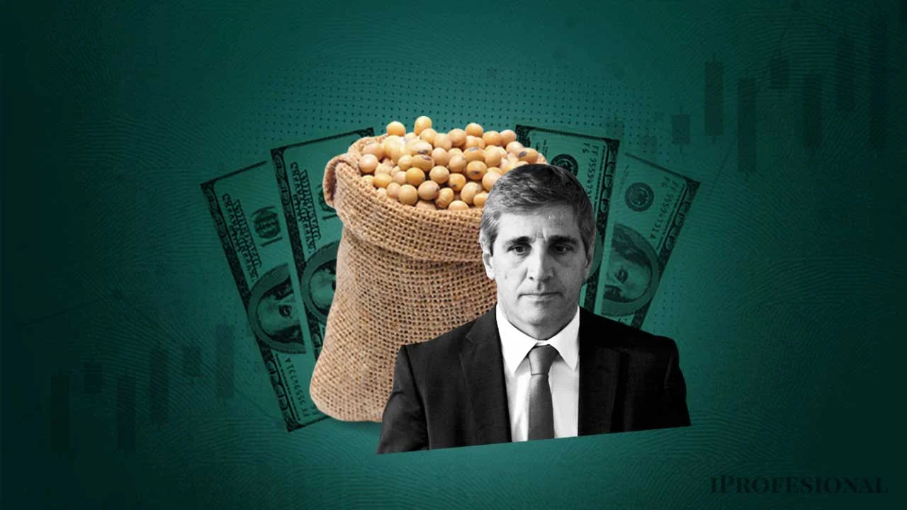 Luis Caputo espera que el Presupuesto 2025 destrabe la venta de los millones que hay en silobolsas