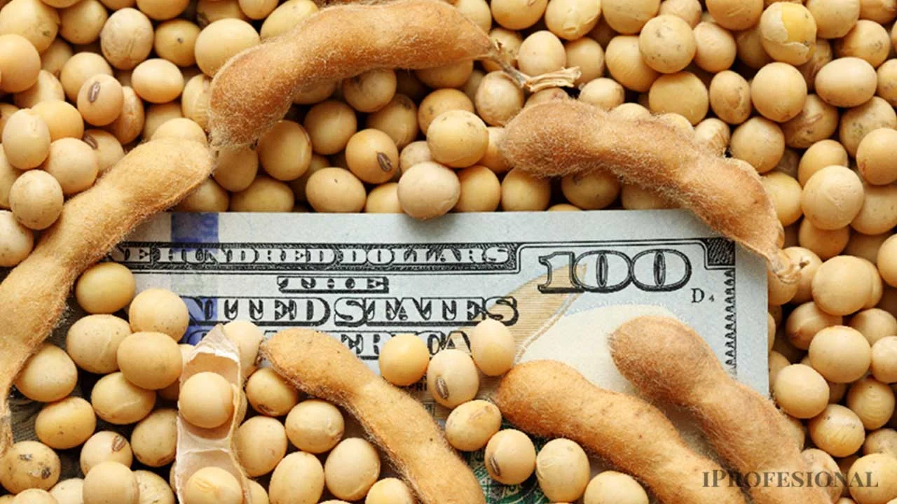 soja dólar