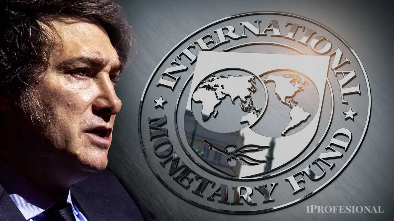 noticiaspuertosantacruz.com.ar - Imagen extraida de: https://www.iprofesional.com/economia/422221-pelea-por-dolar-barato-por-que-javier-milei-esta-enojado-con-fmi