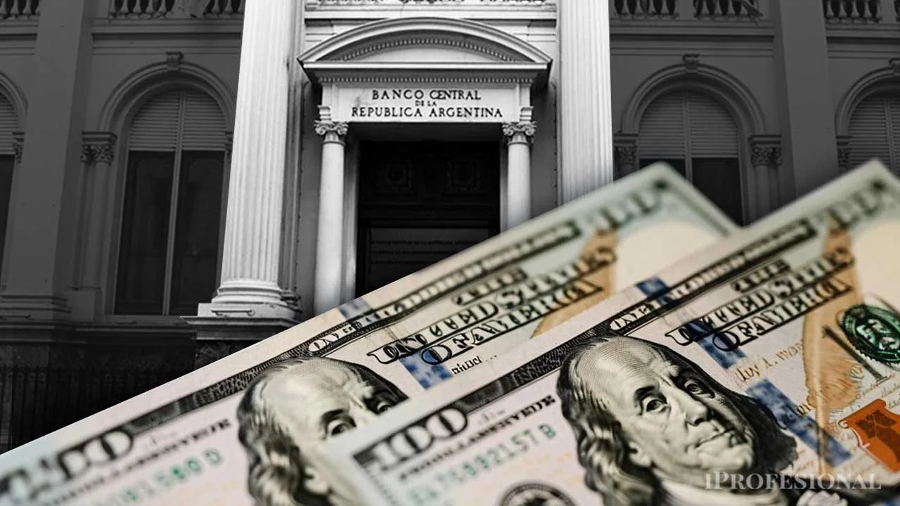 El Banco Central compró en enero casi u$s1.700 millones pero las reservas cayeron u$s1.305 millones