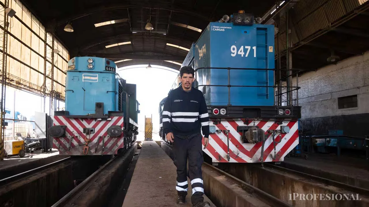 Trenes, Belgrano cargas