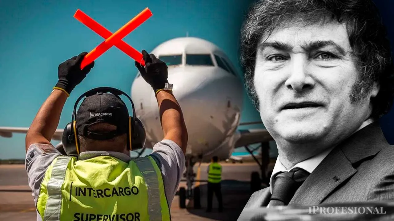 Privatización de Aerolíneas Argentinas: el Gobierno quiere llevarla a sesiones extraordinarias