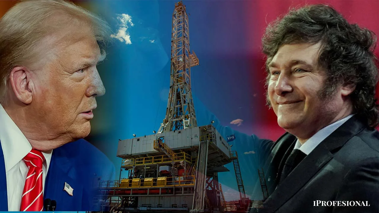 noticiaspuertosantacruz.com.ar - Imagen extraida de: https://www.iprofesional.com/economia/422147-chau-al-acuerdo-de-paris-javier-milei-y-el-futuro-de-vaca-muerta