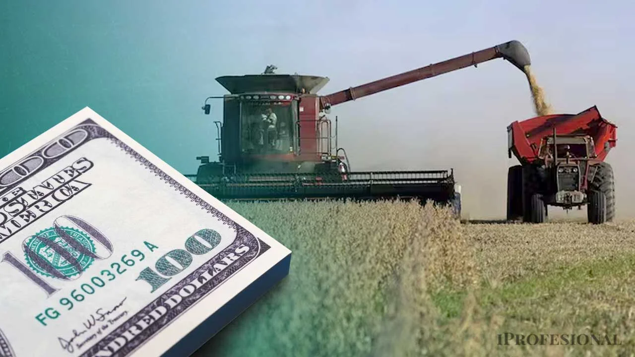Caputo tienta al campo con tasas en pesos y dólar barato, pero productores dudan de la bicicleta financiera
