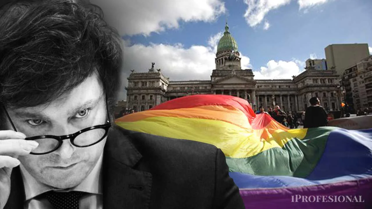 Marcha "LGBT y anti fascista": el plan de Milei para convertir su polémico discurso en ganancia electoral