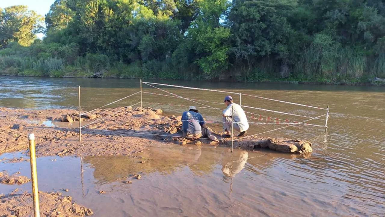 Gliptodonte en Córdoba: un turista encontró restos de la especie extinguida hace miles de años