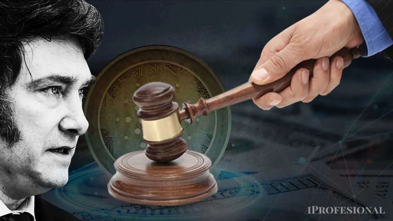 Javier Milei, Justicia