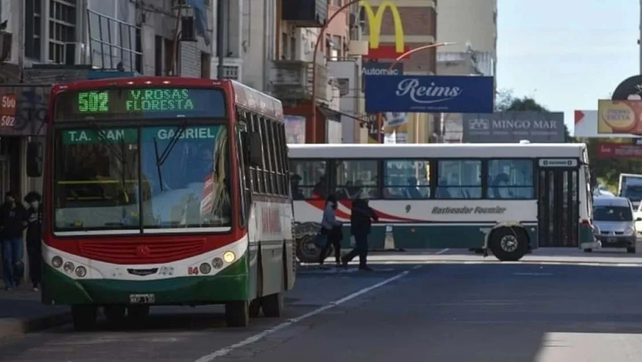 Recuperación tras el temporal: Bahía Blanca reactiva el transporte público sin costo por 30 días
