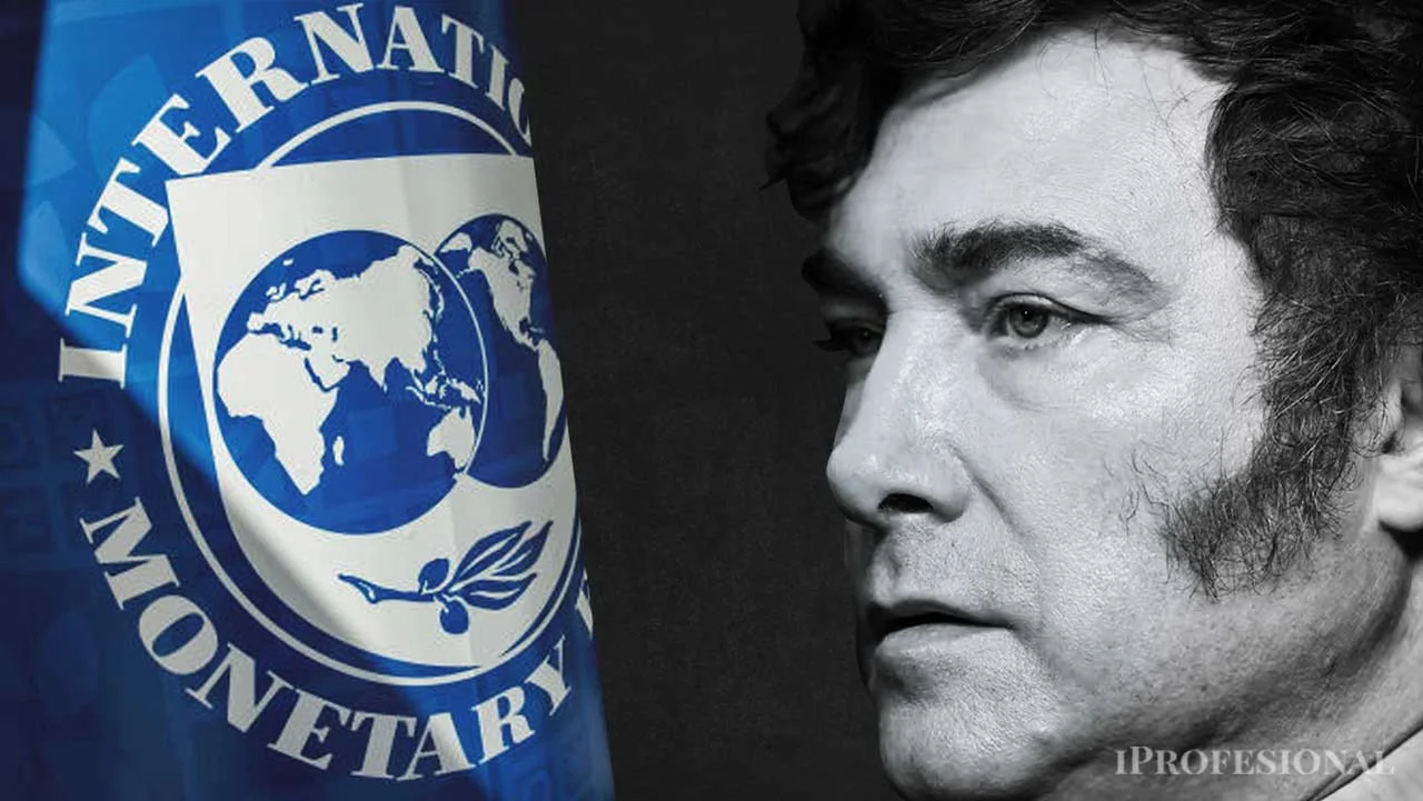 cómo puede impactar el anuncio sobre el FMI en la campaña de Javier Milei