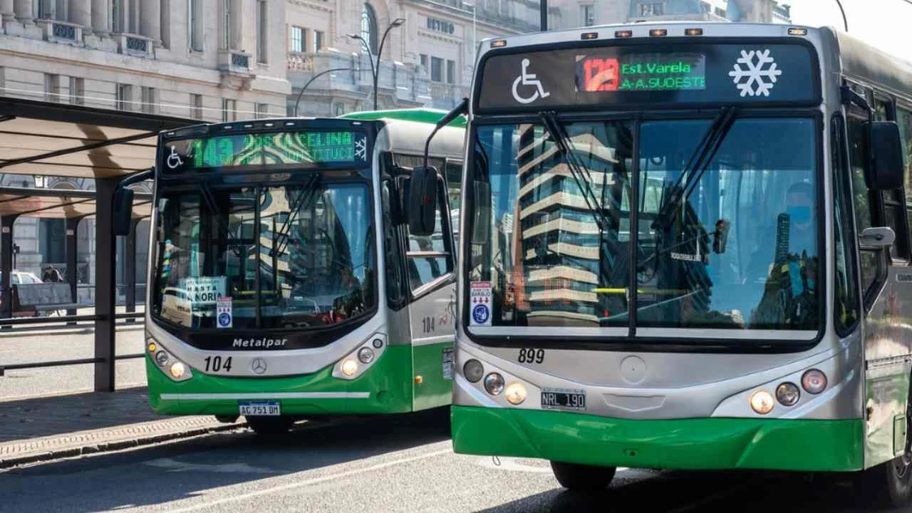 sueldo chofer colectivo