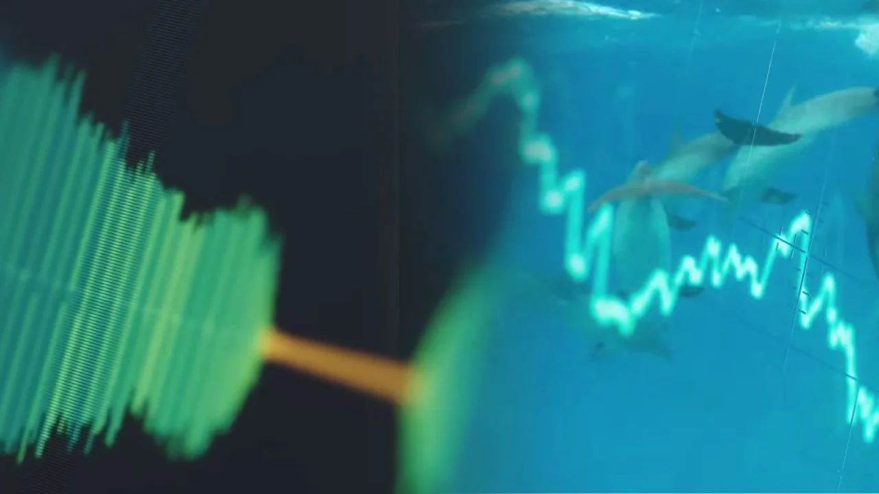Dolphingemma: the artificial intelligence that seeks communication with dolphins