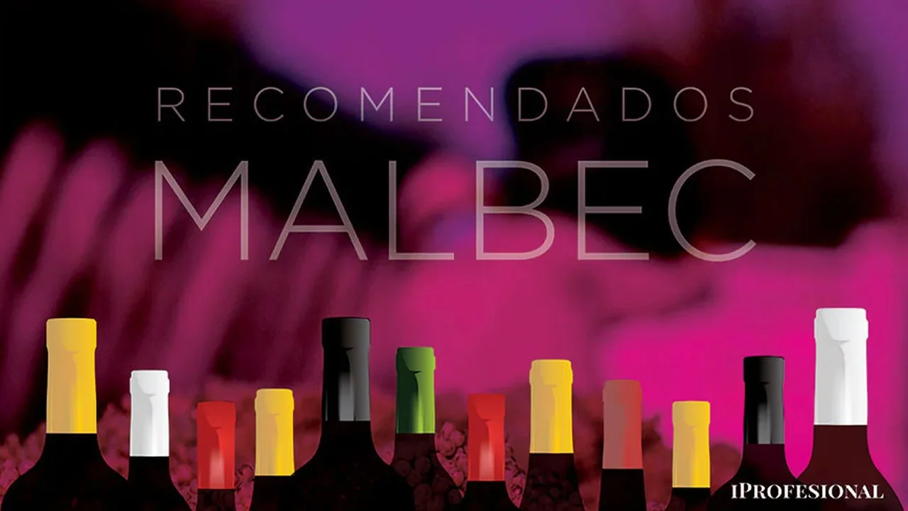 25 vinos MALBEC buenos y baratos desde 3500 pesos: cuáles probar