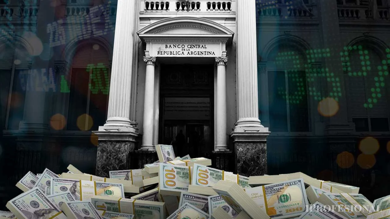 Dólar o pesos: ¿qué fue más rentable en la segunda semana sin restricciones cambiarias?