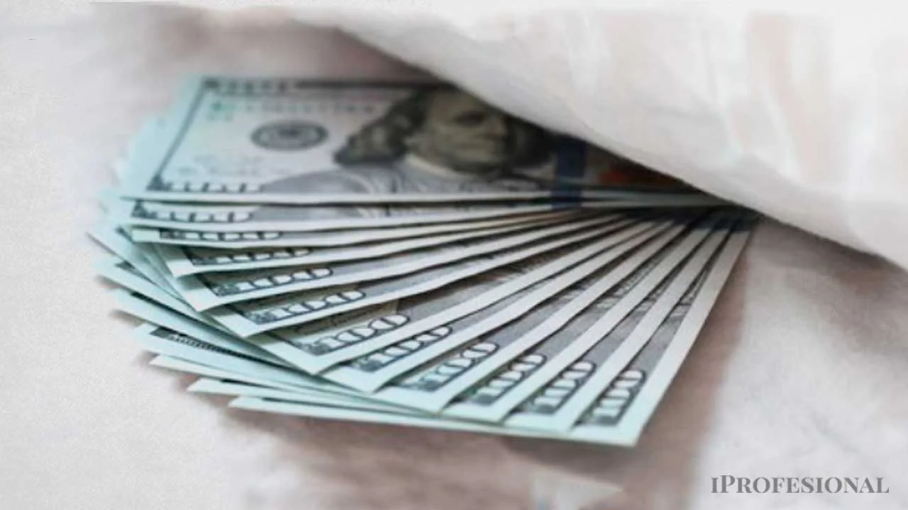 Reservas, crédito y consumo: la estrategia de Caputo para motorizar la economía con los dólares del colchón