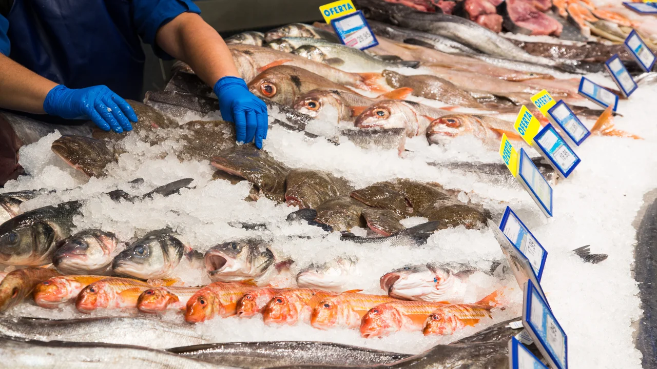 Keys to consumption of fish and shellfish: what must be considered when buying and cooking